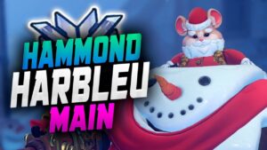 Harbleu Hammond and Roadhog competitive gameplay - Overwatch Top 500