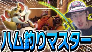 永遠にハムを引っ張り続けるta1yoホッグ【Overwatch】