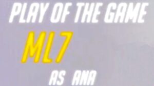 the most important Overwatch achievement: ANA POTG