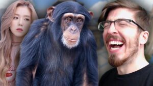 Overwatch: The Story of MONKE