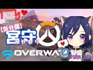 Overwatch 暴走ハルト(((カバーの仕方がほぼD.va😇