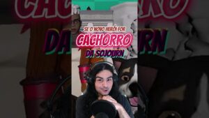SE O NOVO HERÓI DE OVERWATCH FOR O CACHORRO DA SOJOURN: MURPHY?! #overwatch2 #overwatch