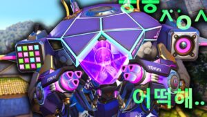 The EXTREMELY RARE Flats DVA pick in Overwatch 2