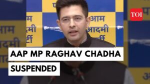 Watch: AAP MP Raghav Chadha suspended from Rajya Sabha over ‘breach of privilege’