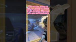 Can we just delete Sombra from the game#overwatch2 #overwatch #tiktok #trending