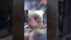 WTF DID OVERWATCH MAKE ME BECOME!?!?!?!?  #overwatch2  #ow2  #overwatch  #overwatchgameplay #memes