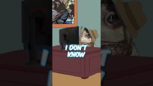 Overwatch 2 is Over Priced
