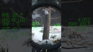 Winter Sniper Overwatch 🎯#scumpvp