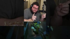 What if Overwatch had a minimap?