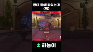 뒤에 뭐있는데 (픽) #오버워치 #overwatch2 #오버워치2 #아나 #overwatch
