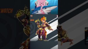 overwatch